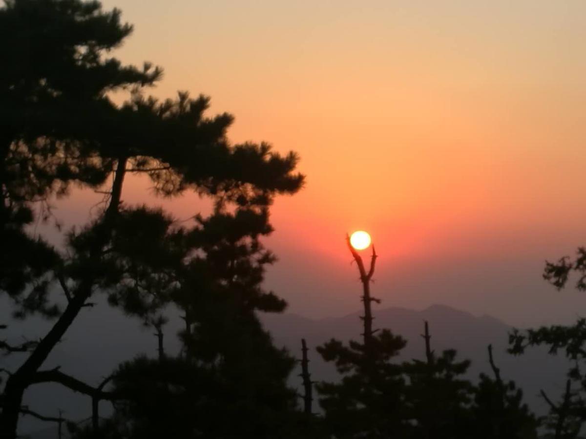 Mogan Mountain Xiaomusensen Villa Deqing Exterior photo