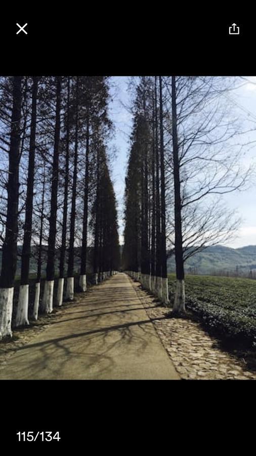 Mogan Mountain Xiaomusensen Villa Deqing Exterior photo