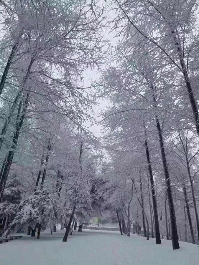 Mogan Mountain Xiaomusensen Villa Deqing Exterior photo